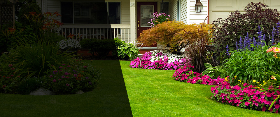 Mount Holly Springs Landscapers