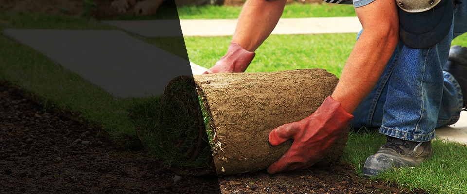 Mount Holly Springs Landscapers